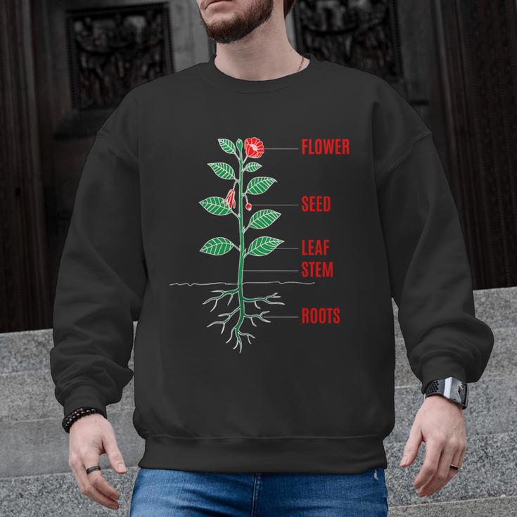 Parts Of a Plant Science For Teachers Kids And Students Men Graphic Sweatshirt