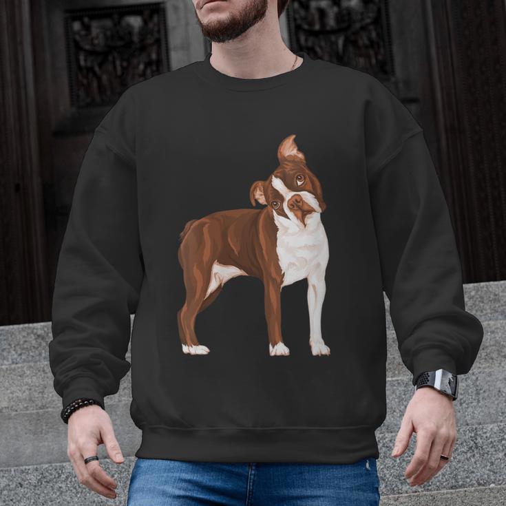 Red Boston Terrier Dog Men Graphic Sweatshirt