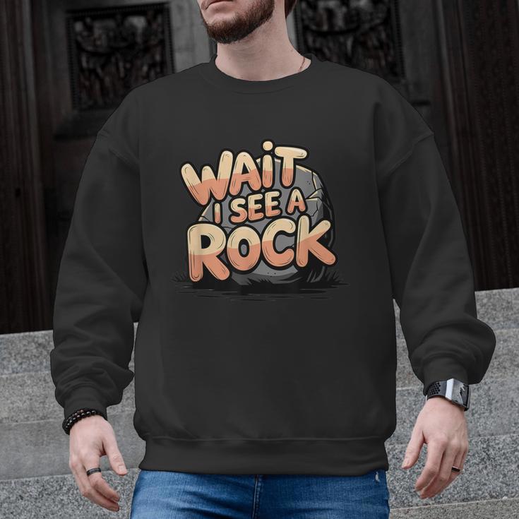 Wait I See A Rock Geology Teacher Men Graphic Sweatshirt