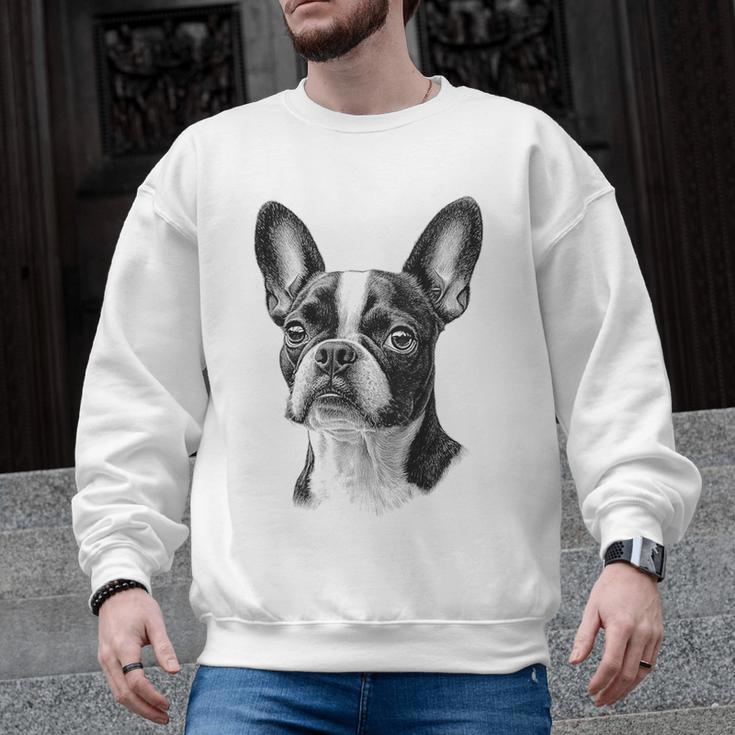 Boston Terrier Dog Motif Pet Illustration Boston Terrier For Men Women Kids Men Graphic Sweatshirt