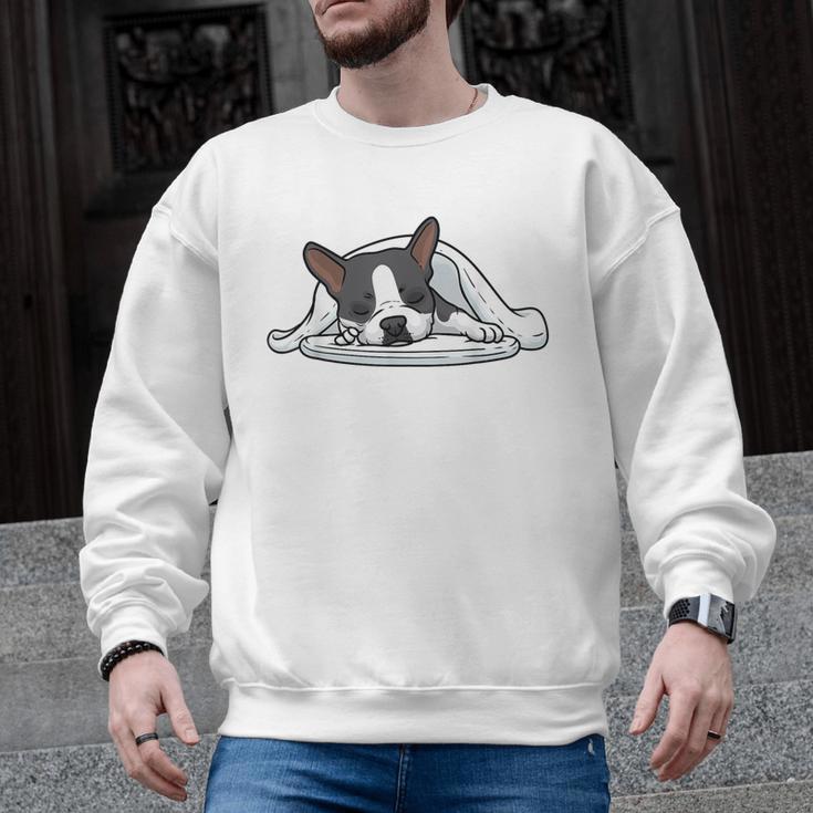 Boston Terrier Dog Official Sleeping Men Women Girls Kids Men Graphic Sweatshirt