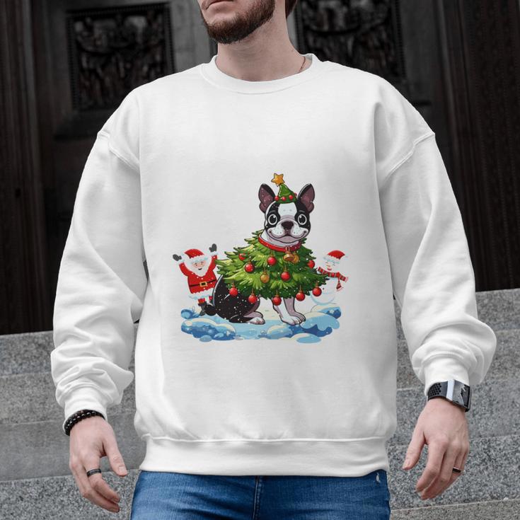 Boston Terrier Merry Christmas Tree Lights Dog X-Mas Dogs Men Graphic Sweatshirt