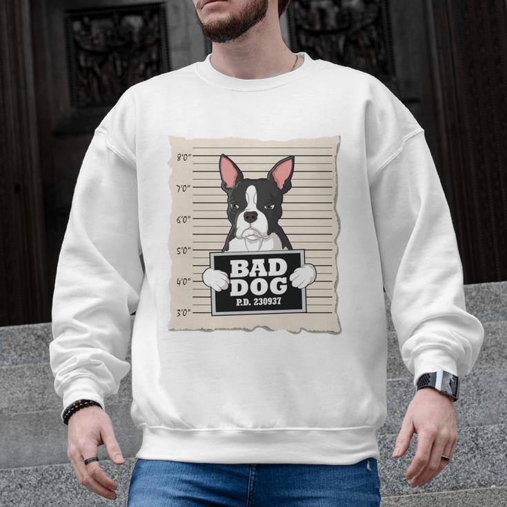 Boston Terrier Mug Shot Guilty Dog Men Graphic Sweatshirt, trending gift