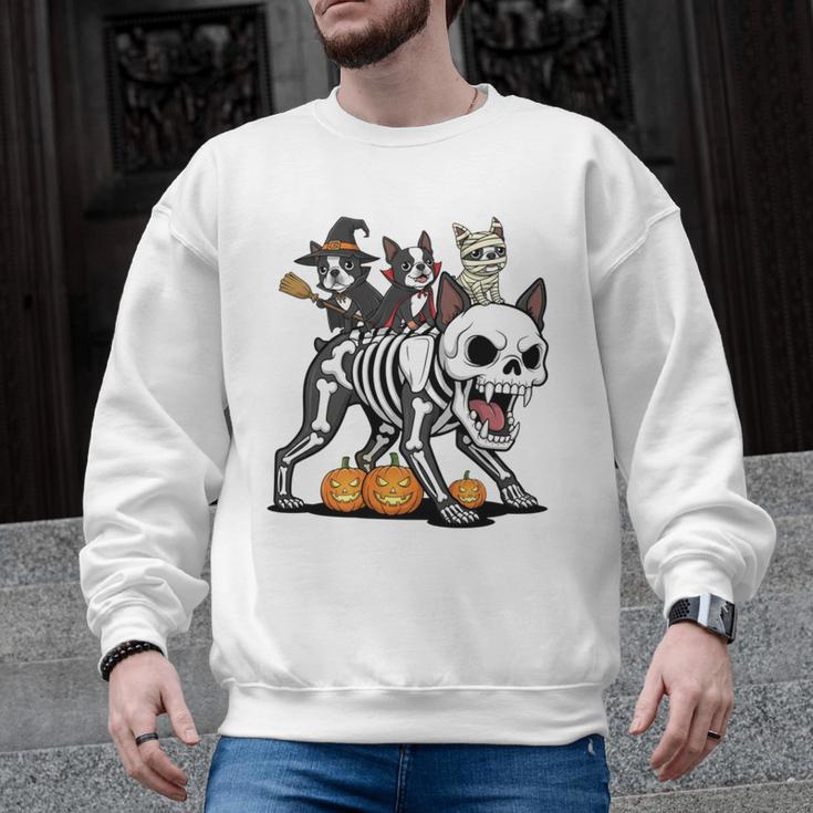 Boston Terrier Skeleton Mummy Witch Halloween Men Graphic Sweatshirt