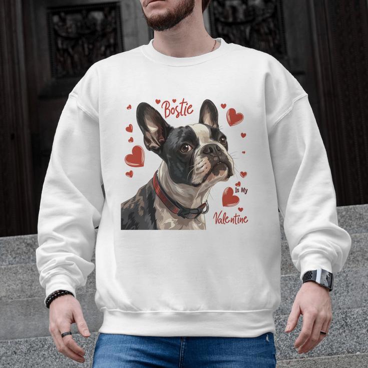 Boston Terrier Is My Valentine Cute Pet Dog Owner Valentine Men Graphic Sweatshirt