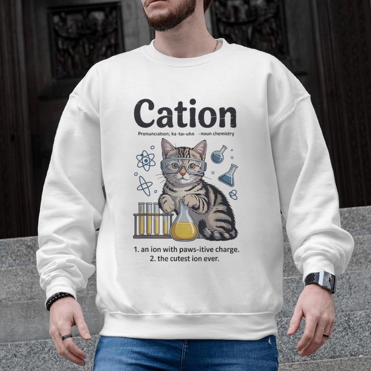 Cation Shirt Cat Science Chemistry Teacher Chemist Pun Men Graphic Sweatshirt