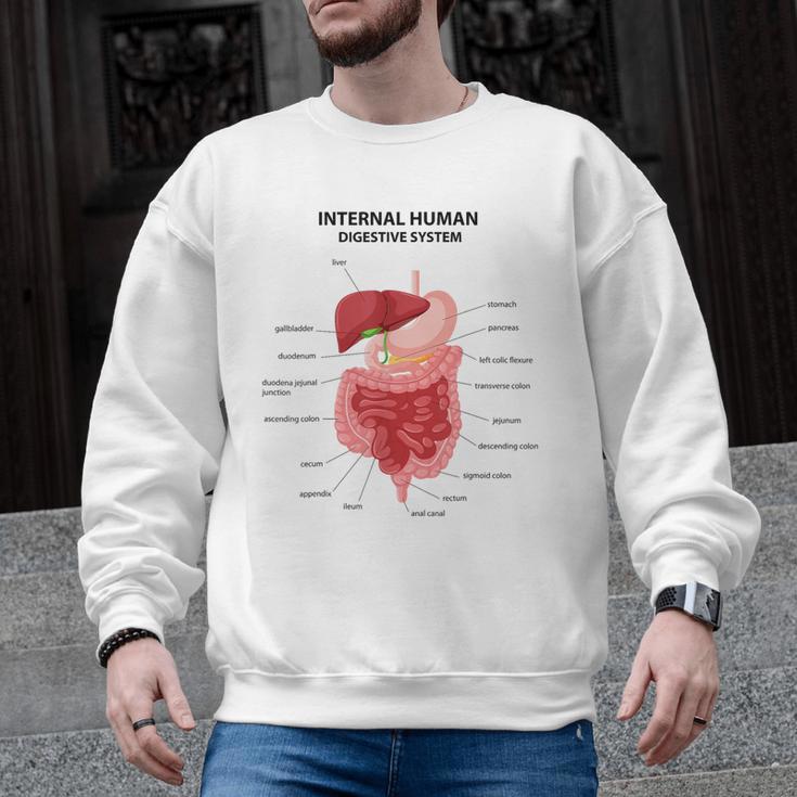 Digestive System Anatomy Anatomical Biology Teacher Men Women Men Graphic Sweatshirt