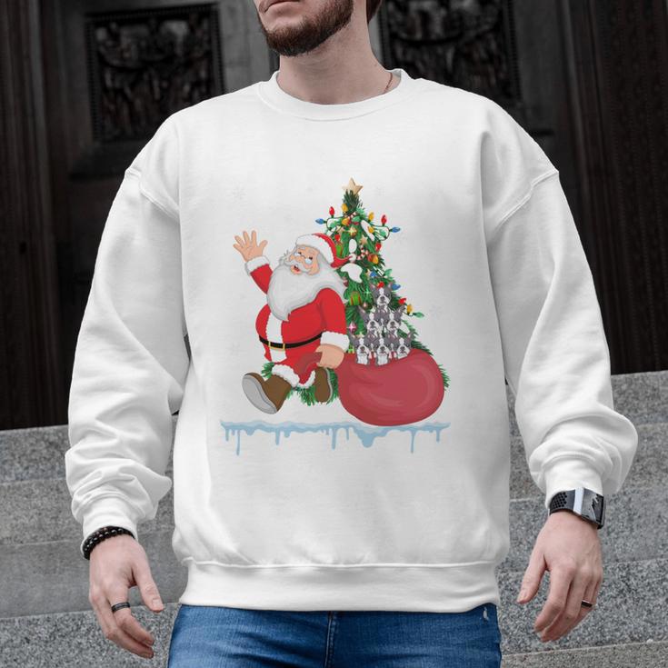Santa Ugly Christmas Tree Lights Boston Terrier Dog Lover Men Graphic Sweatshirt