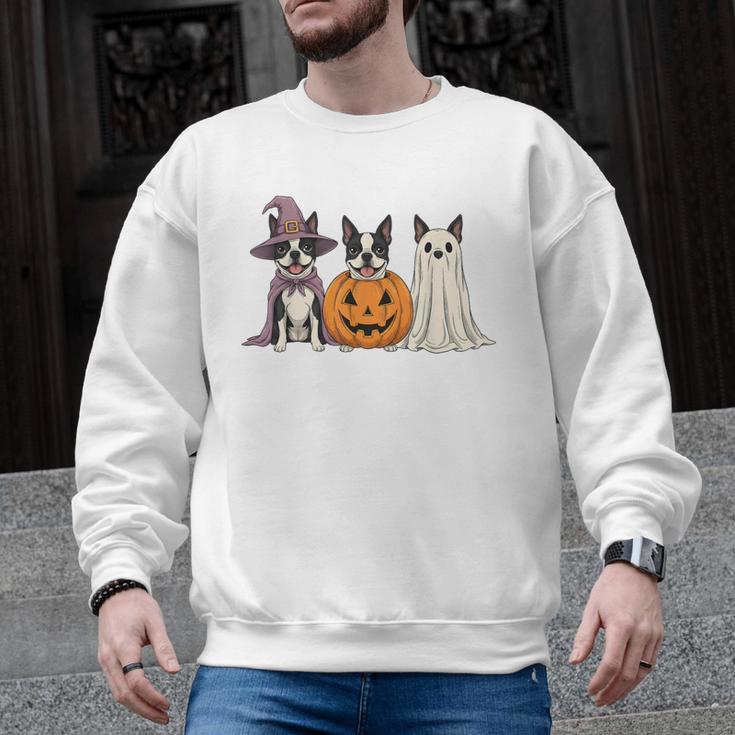 Spooky Ghost Boston Terrier Pumpkin Halloween Dog Lover Men Graphic Sweatshirt