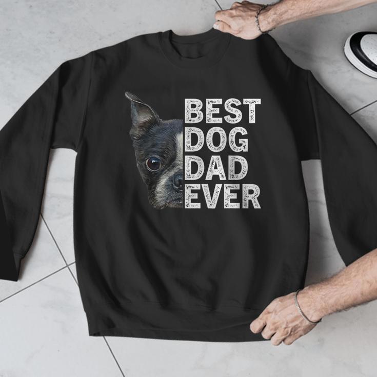 Best Dog Dad Ever Boston Terrier Dog Lover For Dad Men Women Girls Kids Men Graphic Sweatshirt, Boston Terrier Dad Gifts, funny design