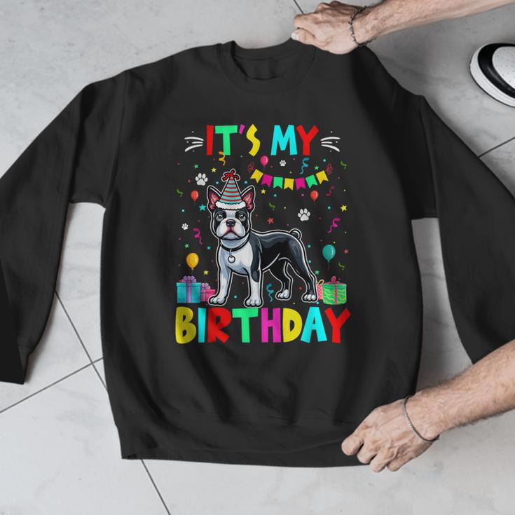 My Birthday Colorful Costume Boston Terrier Party Men Graphic Sweatshirt, funny design