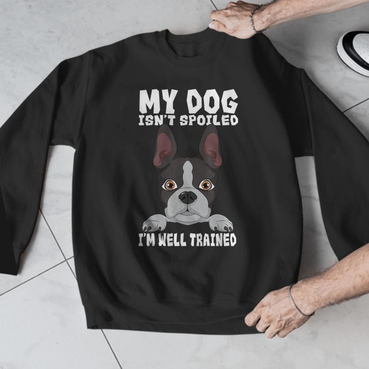 Boston Terrier American Gentleman Dog Lover I'm Well Trained Men Graphic Sweatshirt, American Boston Terrier Gifts, funny design