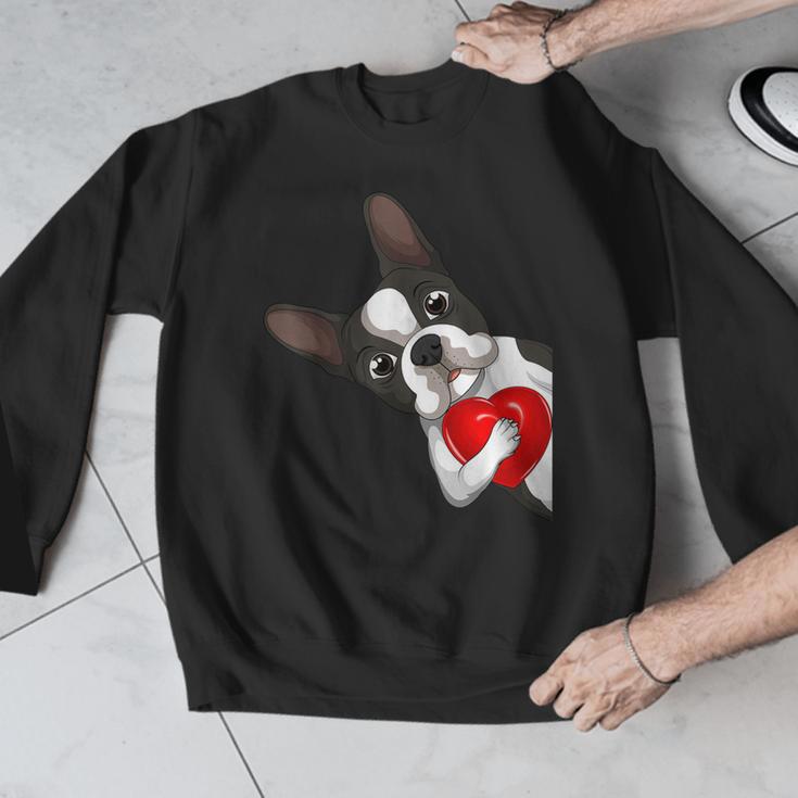 Boston Terrier Bostie Dog Kids Women Girls Men Graphic Sweatshirt, funny design