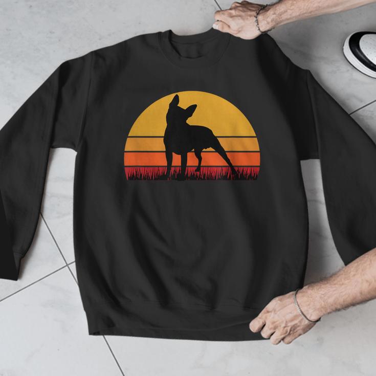 Boston Terrier Bostie Sunset Retro Dog Pet Mom Dad Men Graphic Sweatshirt, Mom Gifts, Boston Terrier Dad Gifts, Boston Terrier Mom Gifts, funny design