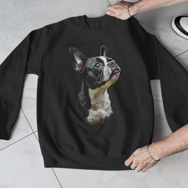 Boston Terrier Dog Graphic Pet Art Boston Terrier For Men Women Kids Men Graphic Sweatshirt, funny design