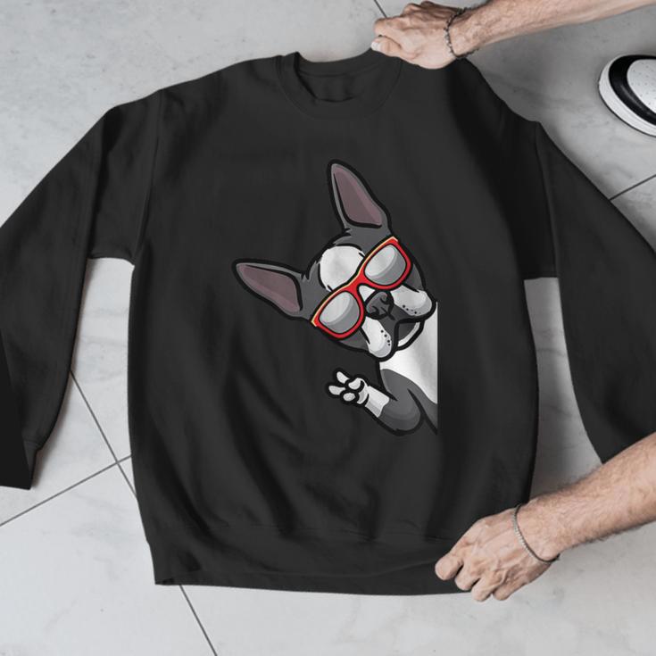 Boston Terrier Dog From Side Boston Bull Men Graphic Sweatshirt, funny design
