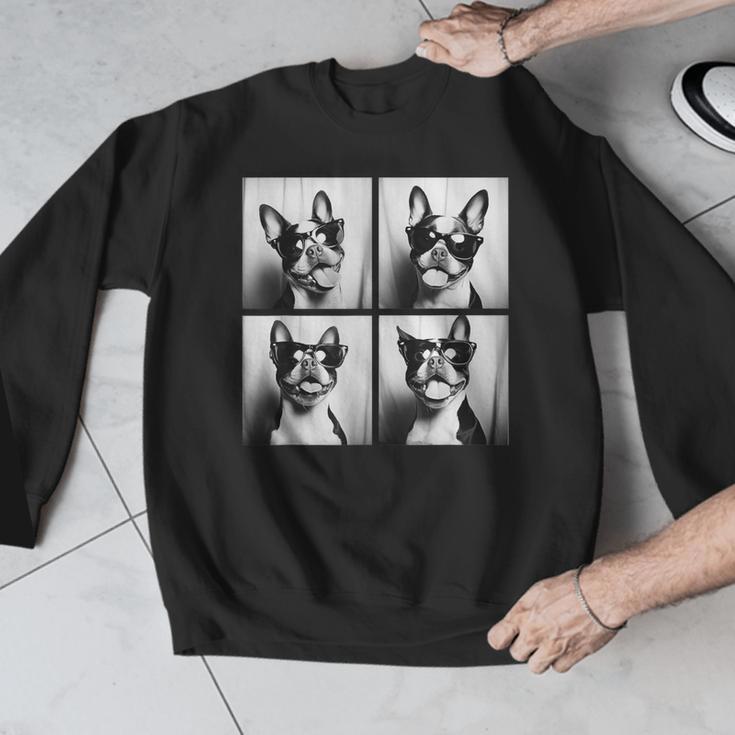 Boston Terrier Dogs With Sunglasses Photo Pets Meme Men Graphic Sweatshirt, funny design