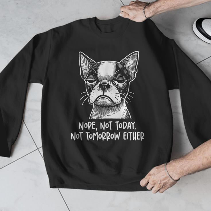Boston Terrier Nope Not Today Not Tomorrow Either Sarcastic Men Graphic Sweatshirt, funny design