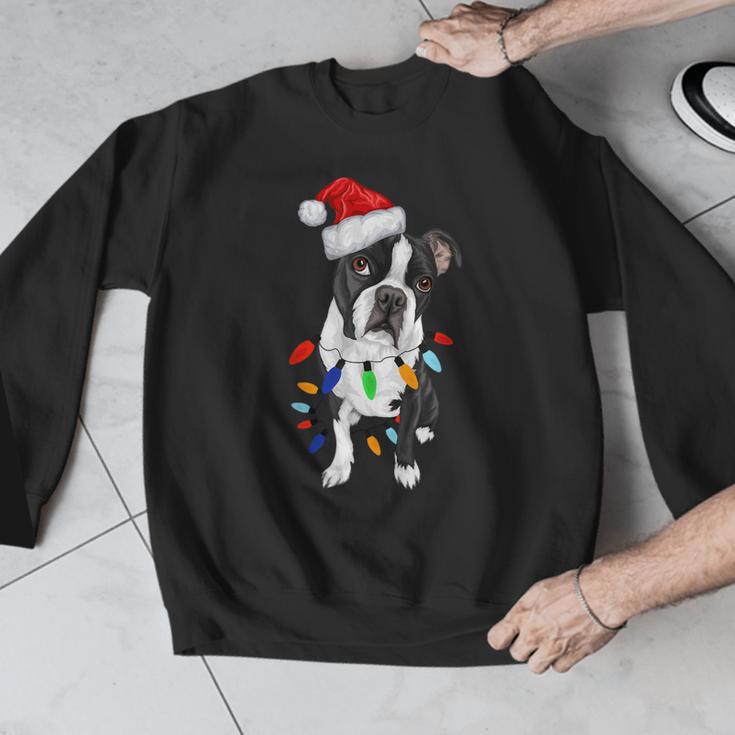 Boston Terrier Santa Christmas Lights Xmas Dog Lover Men Women Kids Men Graphic Sweatshirt, Boston Terrier Christmas Gifts, funny design