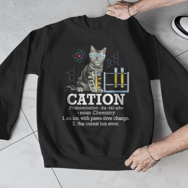 Cation Chemistry Humor Science Teacher Cat Pun Men Graphic Sweatshirt, Science Teacher Gifts, funny design Cation Chemistry Humor Science Teacher Cat Pun Men Graphic Sweatshirt, Science Teacher Gifts, funny design