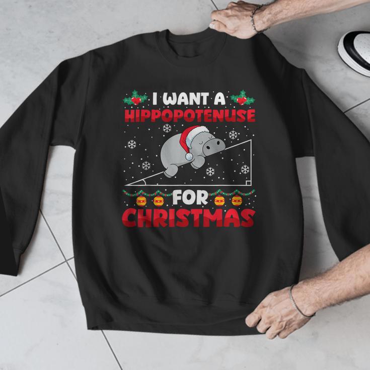 Christmas Math Teacher Hippopotenuse Math Lovers Xmas Men Graphic Sweatshirt, funny design Christmas Math Teacher Hippopotenuse Math Lovers Xmas Men Graphic Sweatshirt, funny design