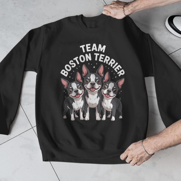 Cute Cartoon For Dog Owners Pet Team Boston Terrier Men Graphic Sweatshirt, funny design