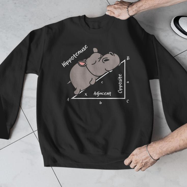 Hippotenuse Hippo Angle Function Hypotenuse Math Teacher Men Graphic Sweatshirt, funny design Hippotenuse Hippo Angle Function Hypotenuse Math Teacher Men Graphic Sweatshirt, funny design