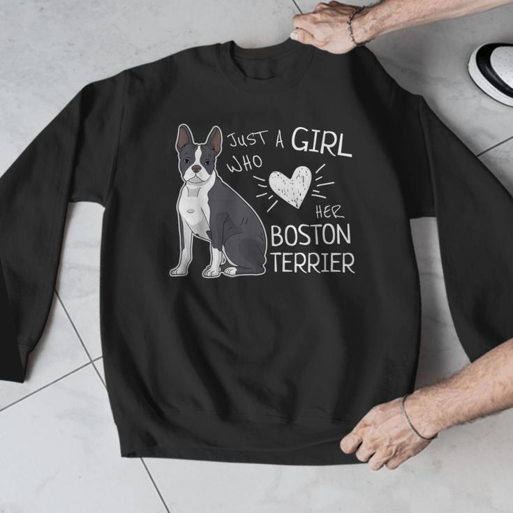 Just A Girl Who Loves Her Boston Terrier Puppy Love Men Graphic Sweatshirt, funny design