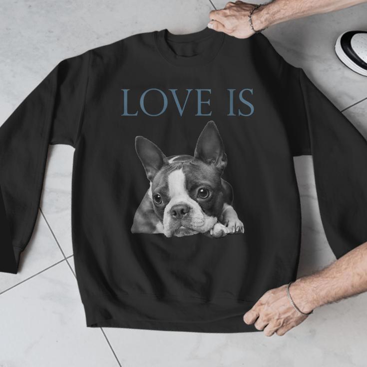 Love Is Boston Terrier Bostie Men Graphic Sweatshirt, funny design