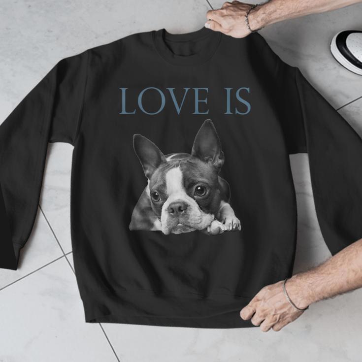Love Is Boston Terrier Bostie Men Graphic Sweatshirt, funny design