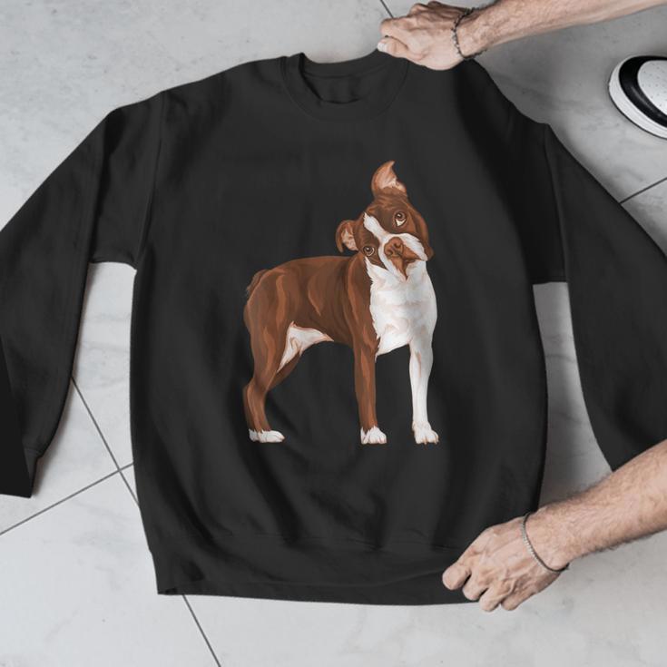 Red Boston Terrier Dog Men Graphic Sweatshirt, funny design