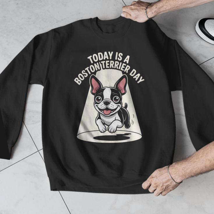 Today Is A Boston Terrier Day Cute Dog Lover Cartoon Men Graphic Sweatshirt, funny design