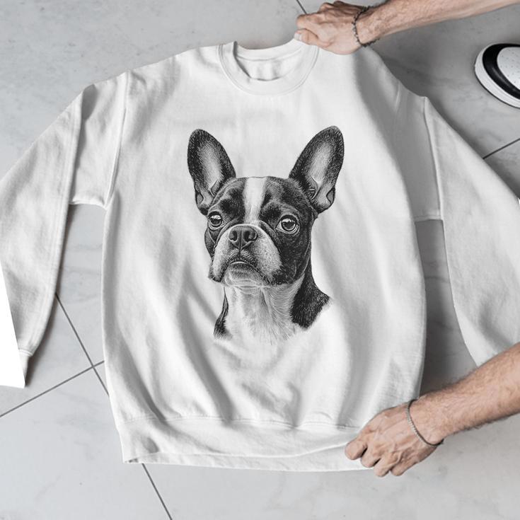 Boston Terrier Dog Motif Pet Illustration Boston Terrier For Men Women Kids Men Graphic Sweatshirt, funny design
