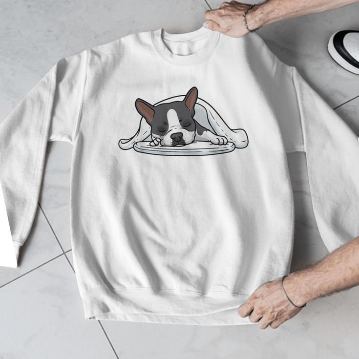 Boston Terrier Dog Official Sleeping Men Women Girls Kids Men Graphic Sweatshirt, funny design