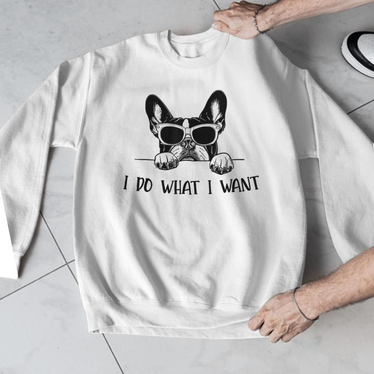 Boston Terrier Dog Owner I Do What I Want Pet Men Graphic Sweatshirt, funny design