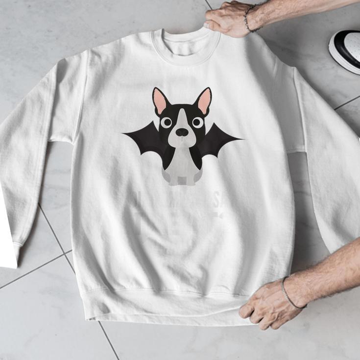 Boston Terrier Halloween Shirt Did Someone Say Treat Men Graphic Sweatshirt, Boston Terrier Halloween Gifts, funny design