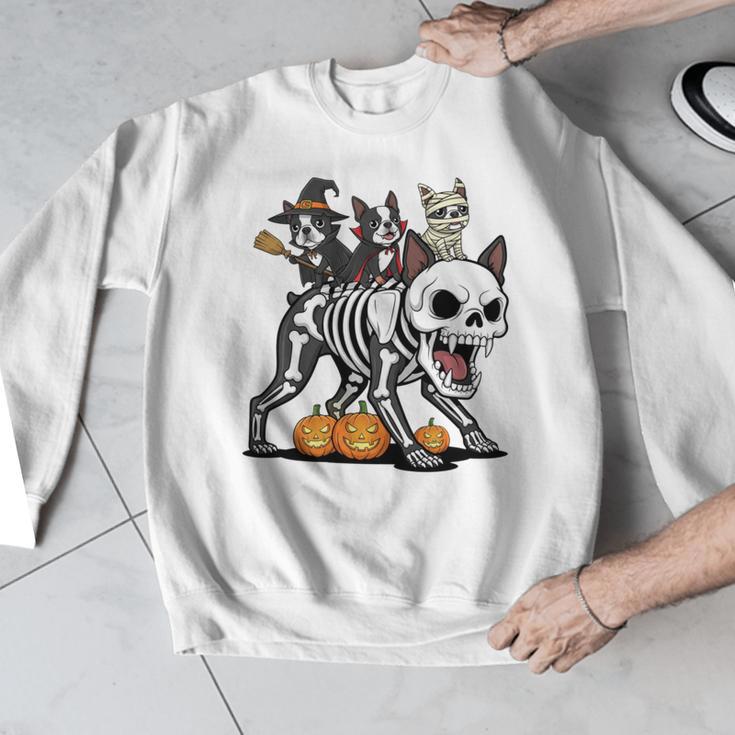 Boston Terrier Skeleton Mummy Witch Halloween Men Graphic Sweatshirt, Boston Terrier Halloween Gifts, funny design