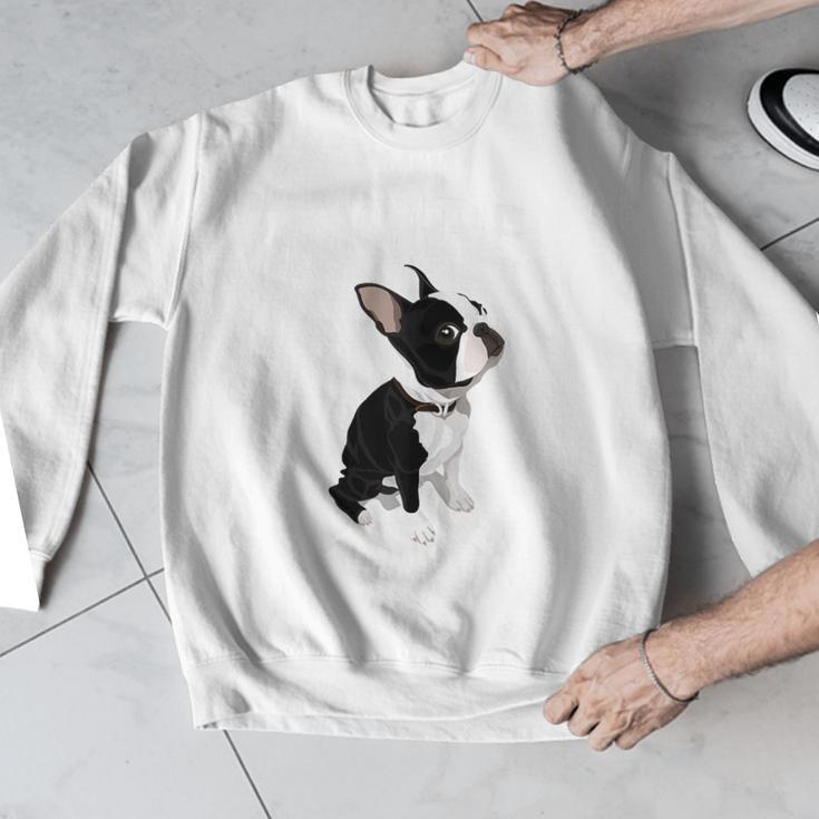 Love NOPE Boston Terrier Dog Lover Men Graphic Sweatshirt, funny design