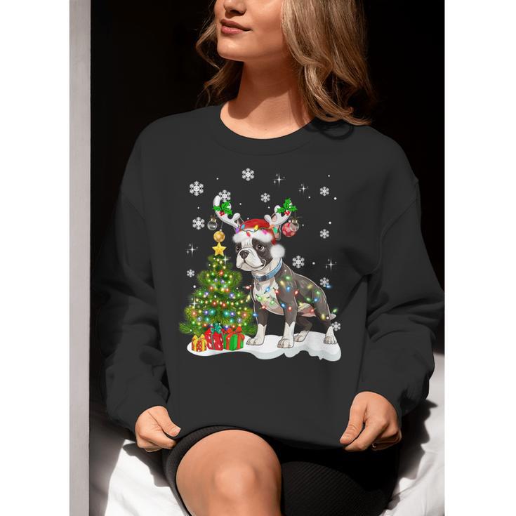 Boston Terrier Christmas Tree Lights Santa Hat Women Crewneck Sweatshirt, Boston Terrier Christmas Sweatshirts, funny gift
