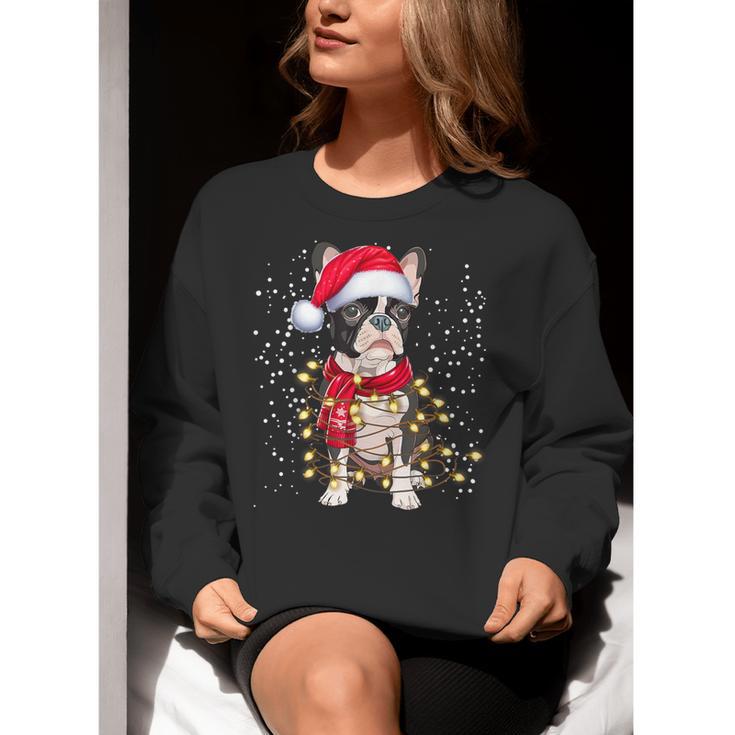 Boston Terrier Dog Ugly Christmas Dog Xmas For Men Women Kids Women Crewneck Sweatshirt, Boston Terrier Christmas Sweatshirts, funny gift