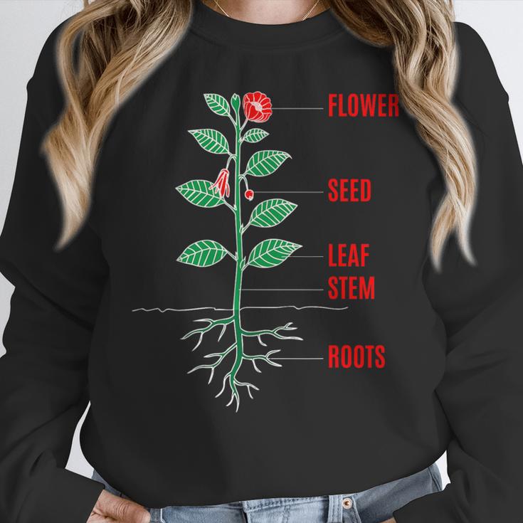 Parts Of a Plant Science For Teachers Kids And Students Women Crewneck Sweatshirt, Science Teacher Gifts, funny design