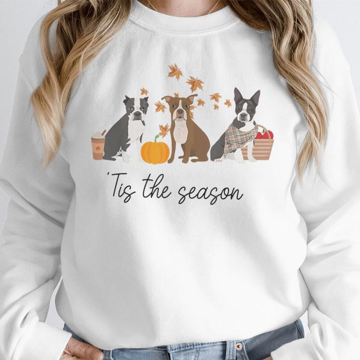 Boston Terrier Fall Pumpkin Tis The Season Autumn Women Women Crewneck Sweatshirt, funny design
