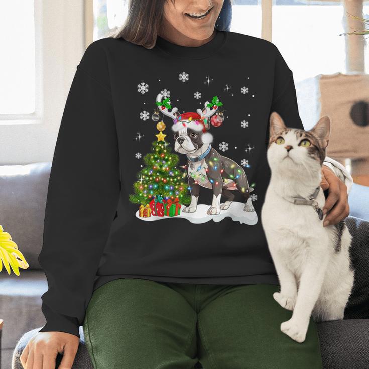 Boston Terrier Christmas Tree Lights Santa Hat Women Crewneck Sweatshirt, Boston Terrier Christmas Sweatshirts, gift for family, gift for coworker