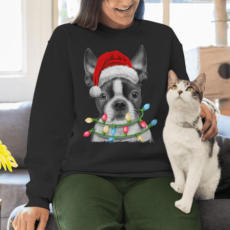 Boston Terrier Santa Christmas Tree Lights Xmas Boys Men Dog Women Crewneck Sweatshirt, Boston Terrier Christmas Sweatshirts, gift for family, gift for coworker