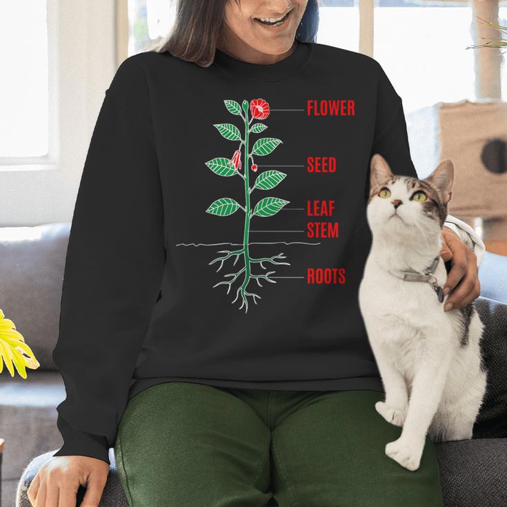Parts Of a Plant Science For Teachers Kids And Students Women Crewneck Sweatshirt, Science Teacher Sweatshirts, gift for family, gift for coworker