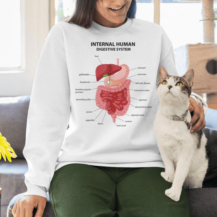 Digestive System Anatomy Anatomical Biology Teacher Men Women Women Crewneck Sweatshirt, gift for family, gift for coworker