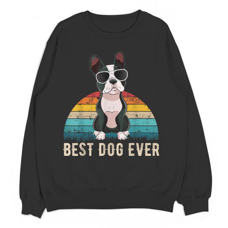 Boston Terrier Boston-Bulldog For Men Women Girls Kids Women Crewneck Sweatshirt, novelty gifts, funny gifts