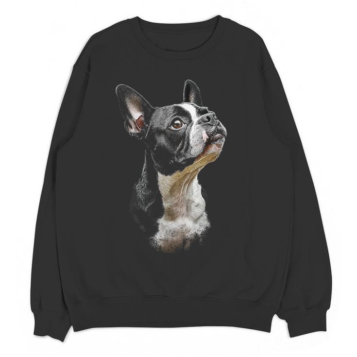 Boston Terrier Dog Graphic Pet Art Boston Terrier For Men Women Kids Women Crewneck Sweatshirt, novelty gifts, funny gifts