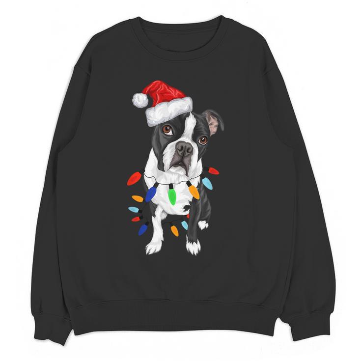 Boston Terrier Santa Christmas Lights Xmas Dog Lover Men Women Kids Women Crewneck Sweatshirt, novelty gifts, funny gifts