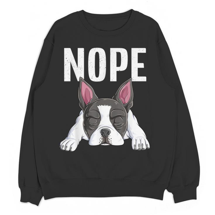 Nope Boston Terrier Puppy Dog Bostie Lover Men Women Girls Kids Women Crewneck Sweatshirt, novelty gifts, funny gifts
